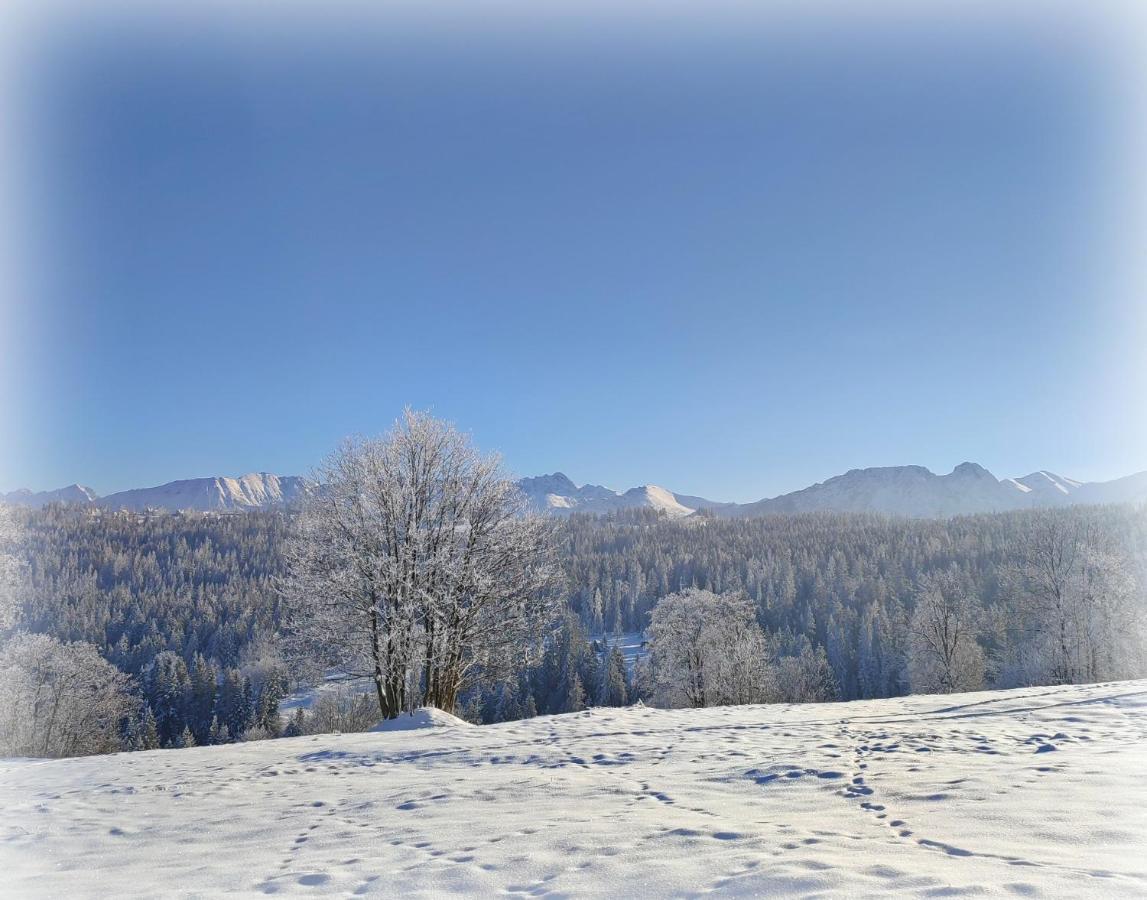 Willa Juna Tatry Нове Бистре Екстер'єр фото