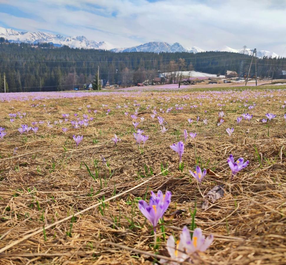 Willa Juna Tatry Нове Бистре Екстер'єр фото